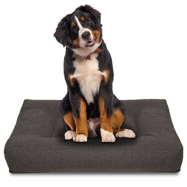 120 x 100 x 20 cm Pernă ergonomică pentru câini Petzzz Milo dimensiune XL