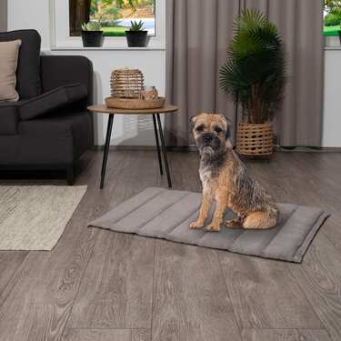 Petzzz pătură pentru câini Fred XL 120 x 80 x 4 cm