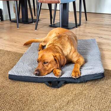 Petzzzzz ergonominen lemmikkimatto Diva M 80 x 55 x 5 cm, kokoontaitettava, liukastumaton.