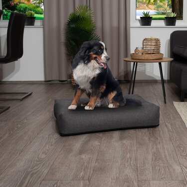 120 x 100 x 20 cm Pernă ergonomică pentru câini Petzzz Milo dimensiune XL