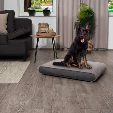 100 x 71 x 13 cm Petzzz ortopedska blazina za pse Rocky velikost L