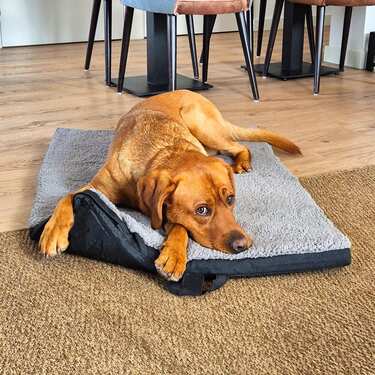 Ergonomická podložka pro domácí mazlíčky Petzzz Diva XL 120 x 80x 5 cm, skládací, protiskluzová