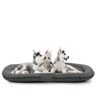 100 x 70 x 10 cm Petzzz blazina za pse antracit velikost M