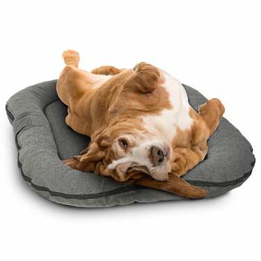 Подушка для собак Petzzz 120 x 80 x 10 см, антрацит, розмір M