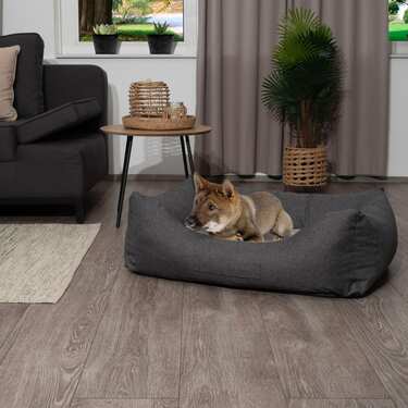 Cama para cães Petzzz Lucky L 100 x 70 x 27 cm com almofada interior ortopédica