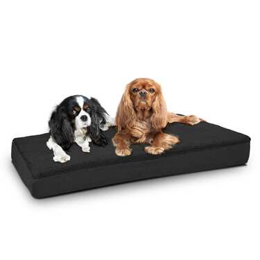 100 x 65 x 10 cm pernă ergonomică pentru câini mărimea L, culoare neagră