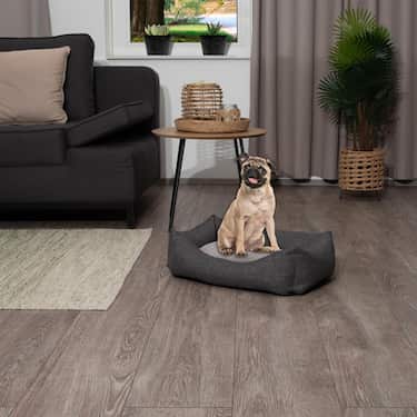 Petzzz kaķu un suņu gulta Felix S 60 x 40 x 17 cm ar divpusēju iekšējo spilvenu
