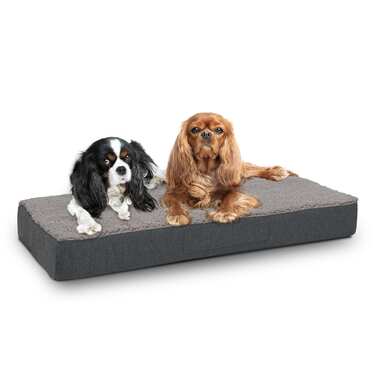 80 x 55 x 10 cm Petzzz ortopeediline koerapadi suurus M