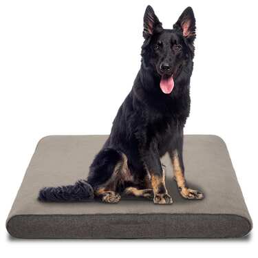 100 x 71 x 13 cm Petzzz ortopedska blazina za pse Rocky velikost L