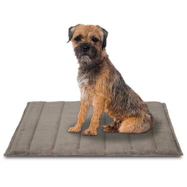 Petzzz pătură pentru câini Fred XL 120 x 80 x 4 cm