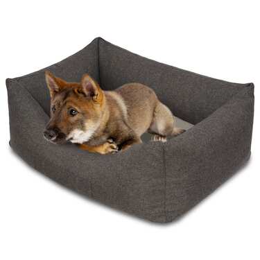 Cama para cães Petzzz Lucky XL 120 x 85 x 31 cm com almofada interior ortopédica