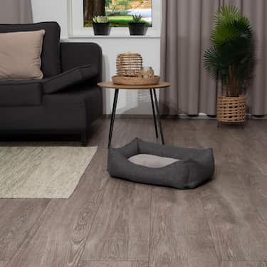 Petzzz kaķu un suņu gulta Felix S 60 x 40 x 17 cm ar divpusēju iekšējo spilvenu