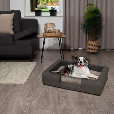 Petzzz ergonomska pasja postelja Daisy M 93 x 66 x 20 cm z ortopedsko notranjo blazino