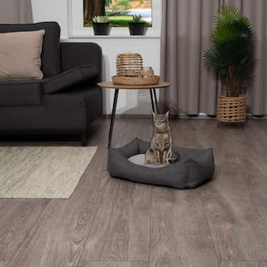 Petzzz kaķu un suņu gulta Felix S 60 x 40 x 17 cm ar divpusēju iekšējo spilvenu