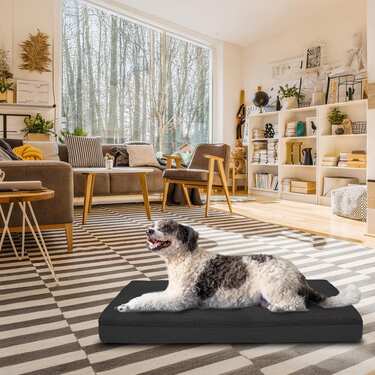 120 x 75 x 10 cm Petzzz ortopeediline koerapadi suurus XL värvus must